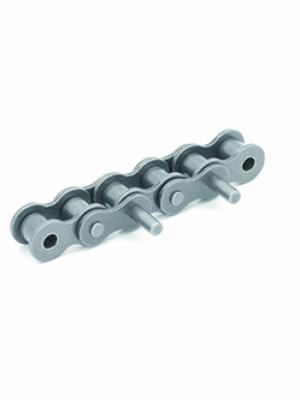 Roller Chain with Extended Pins